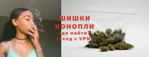 mdpv Вяземский