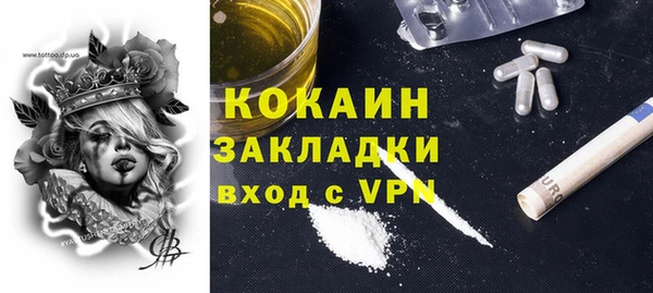 mdpv Вяземский