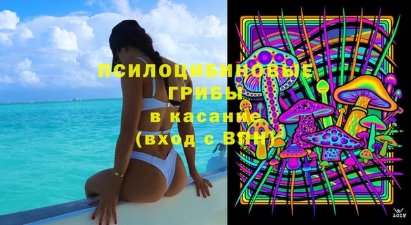 mdpv Вяземский