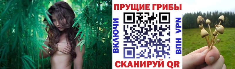 Псилоцибиновые грибы мухоморы  Купить где  Краснокамск 